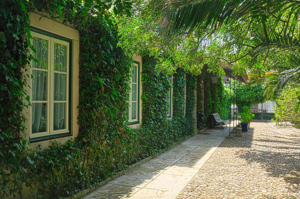 Casa Do Foral Guest House Rio Maior Exterior photo